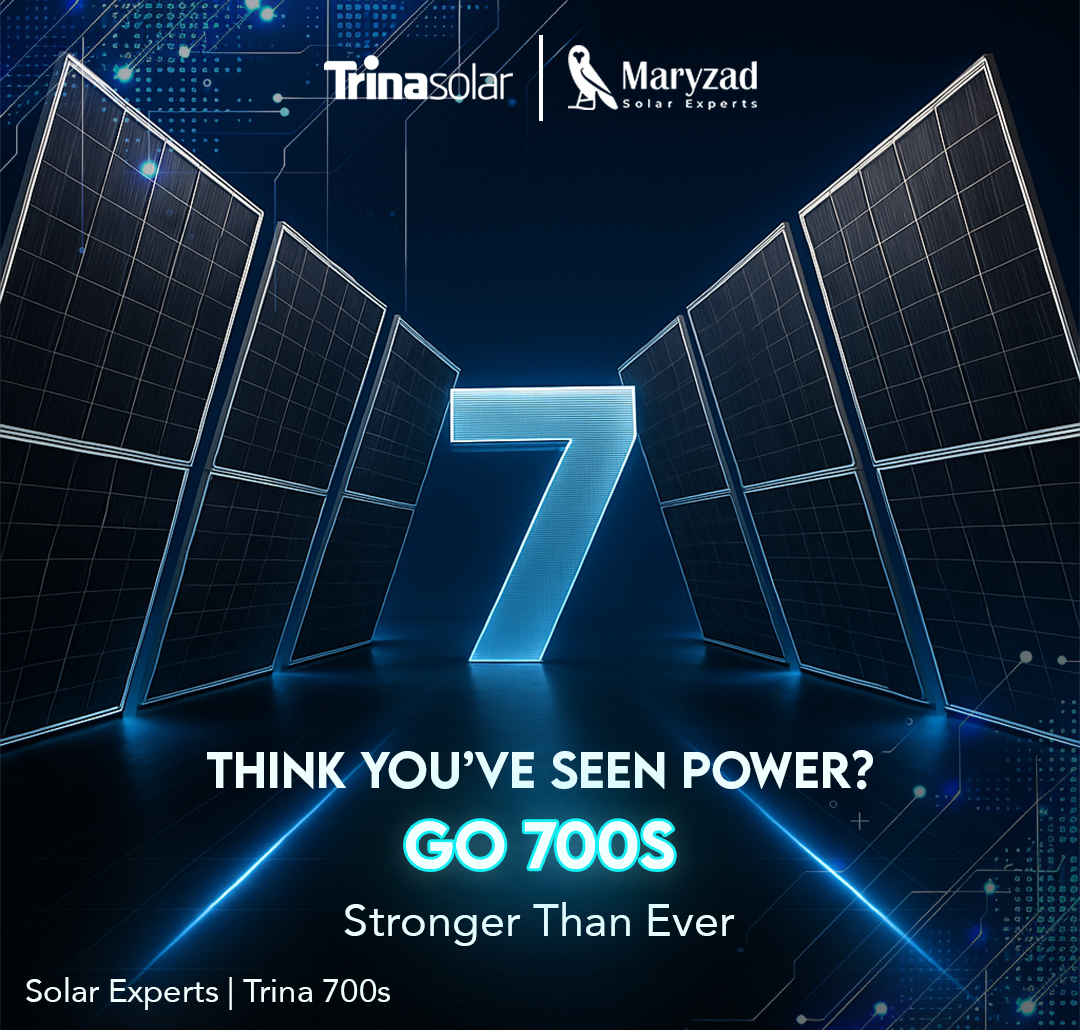 Why Is Everyone Talking About the Trina 700s?