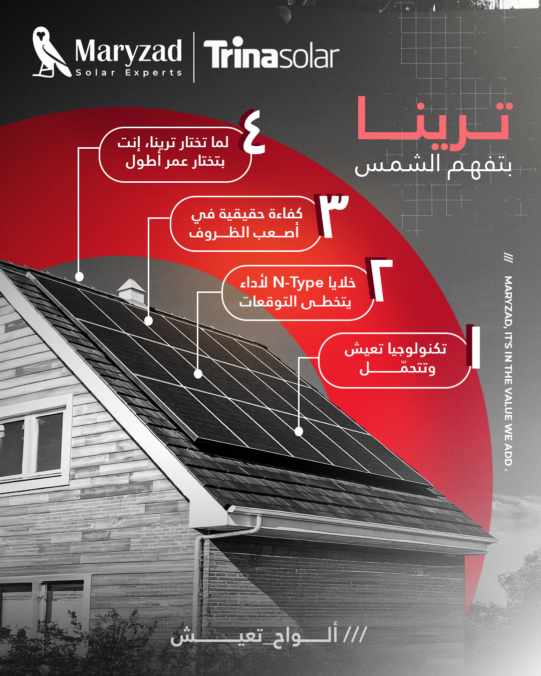 ترينا بتفهم الشمس…