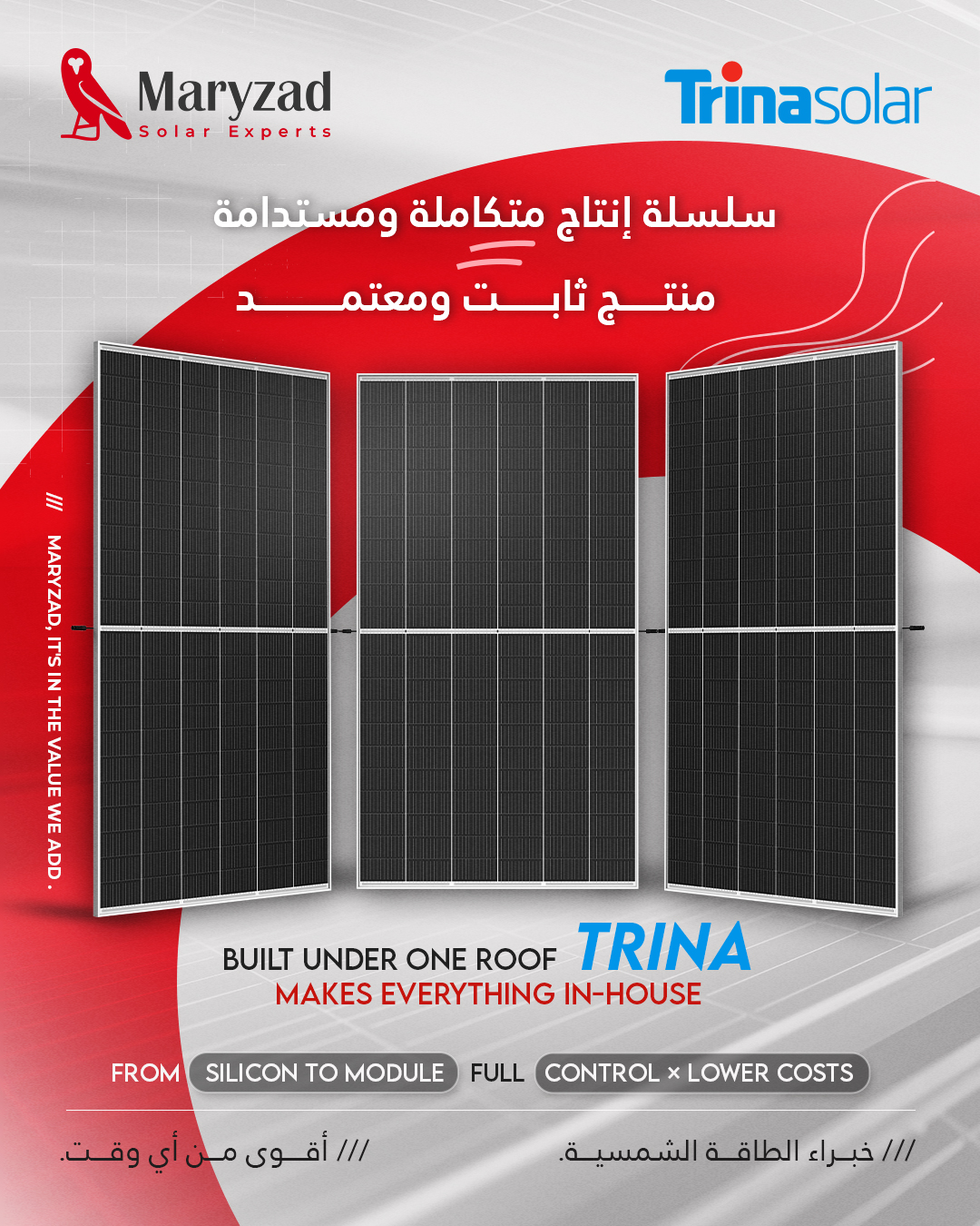 From Silicon to Module: 100% In-House Solar Excellence